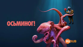 player-Octopus-S1